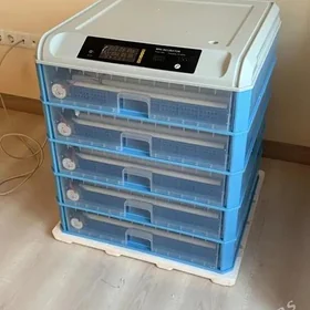 incubator