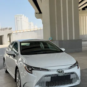 Toyota Corolla 2024