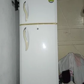 lg holodelnik