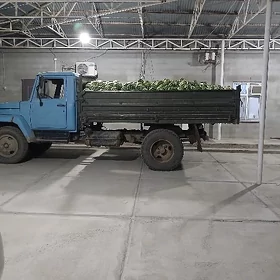 Gaz 53 1993