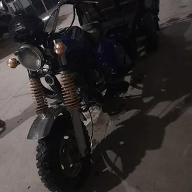 Fekon FK200-14G 2019