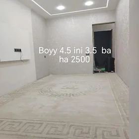 Halylar