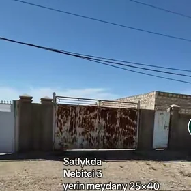 Satlyk Nebitçi 3