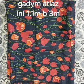 gadym matalar