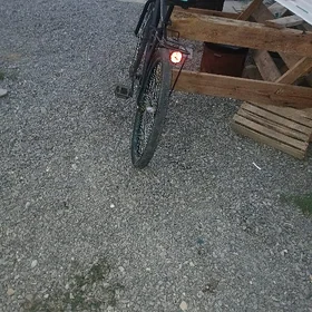 satlyk tigir