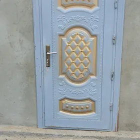 Dașgy gapylar aknolar