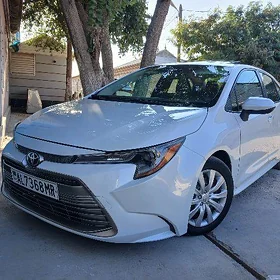 Toyota Corolla 2024