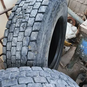ayak