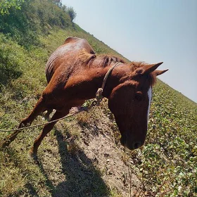 At