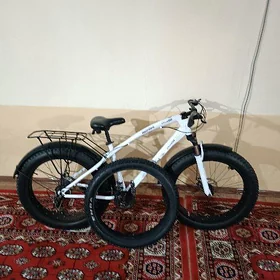 Tigir 26 lyk lokga