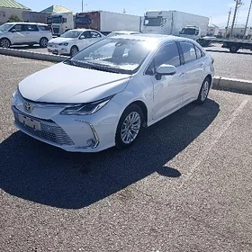 Toyota Corolla 2021