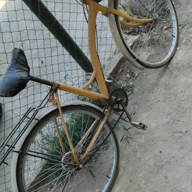 Welik 26lyk