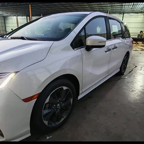 Honda Odyssey 2024