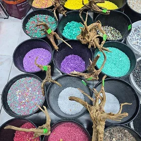 коряги для аквариума