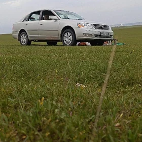 Toyota Avalon 2002