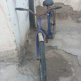 Basda cykan aist welisopet