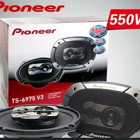 Kalonka gawun pioneer 550v