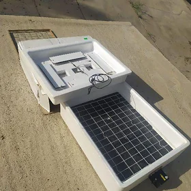 inkubator *ýumurtga*