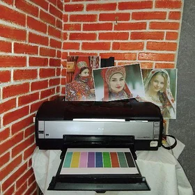 ARASSA EPSON 1410 FOTO PRINTER