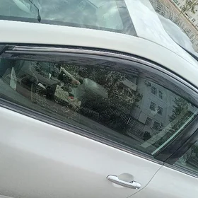 Carolla Kaziryok 8-13