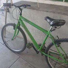 turkmenistan tigir