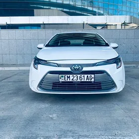 Toyota Corolla 2025