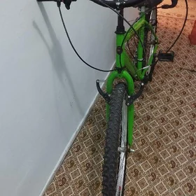 Satlyk Turkmenistan Tigir
