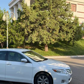 Toyota Camry 2009