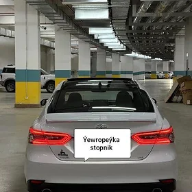 Camry Çyra.Stopnik ýewropeýka