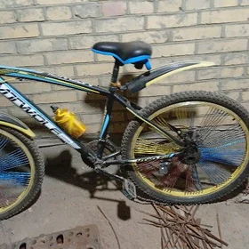 welik sport