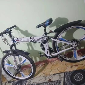 BMW TIGIR
