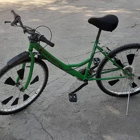tigir turkmenistan
