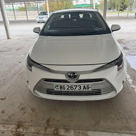 Toyota Corolla 2023
