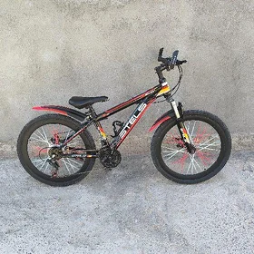 tigir 24 sport