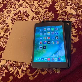 iPad