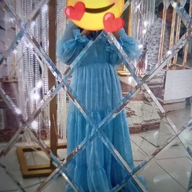 вечерни гойнек