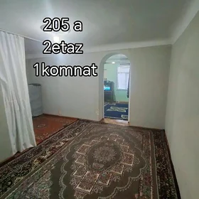 Satlyk jay 205