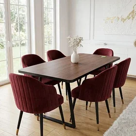 Stol stul kafe restoran mebel