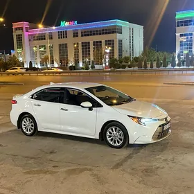 Toyota Corolla 2024