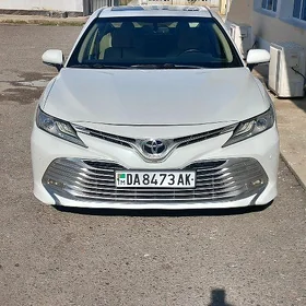 Toyota Camry 2019