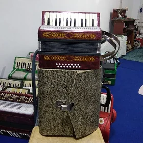 Akardion Akkordeon