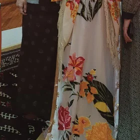 Tayyn koynek