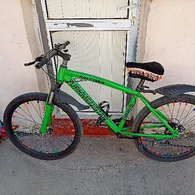 Turkmenistan tigir
