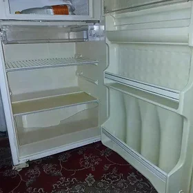 talyp haladilnik