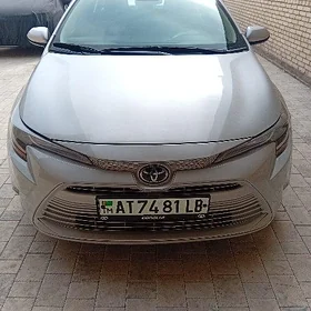 Toyota Corolla 2024