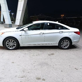 Hyundai Sonata 2010