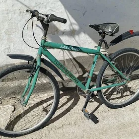 Tigir Turkmenistan