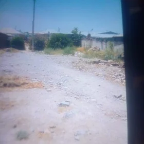 bos mellek