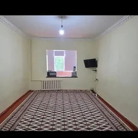 Arenda 6 mkr 3 kom