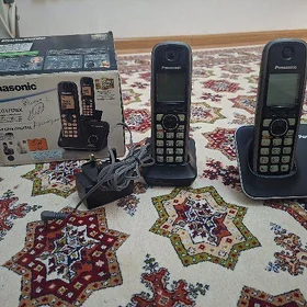 Panasonic